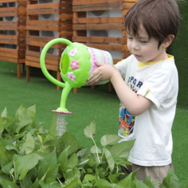 giardinaggio all'asilo e a scuola