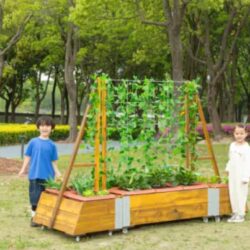 L'aiuola mobile con traliccio è stata progettata appositamente per l’ambiente educativo nelle scuole, poiché offre ai bambini un modo pratico e divertente per avvicinarsi al mondo del giardinaggio.