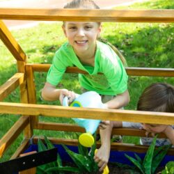 La serra Wisdom - apprendimento sostenibile è stata progettata per le scuole per offrire ai bambini un'esperienza educativa coinvolgente a contatto con la natura.